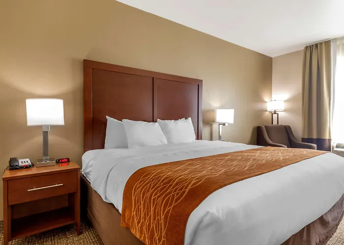 Comfort Inn Near Unt