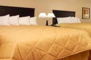 Comfort Near Unt 3* Denton